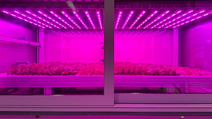 Enclosed indoor farming chamber with rows of plants illuminated by overhead LED grow lights.