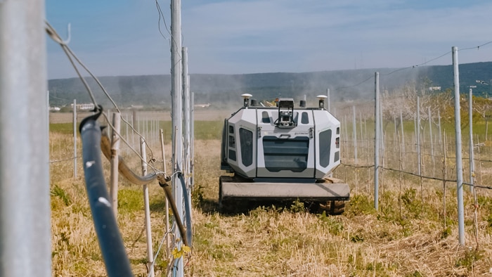 An autonomous vehicle in an orchard