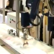 machine-vision-application-image17