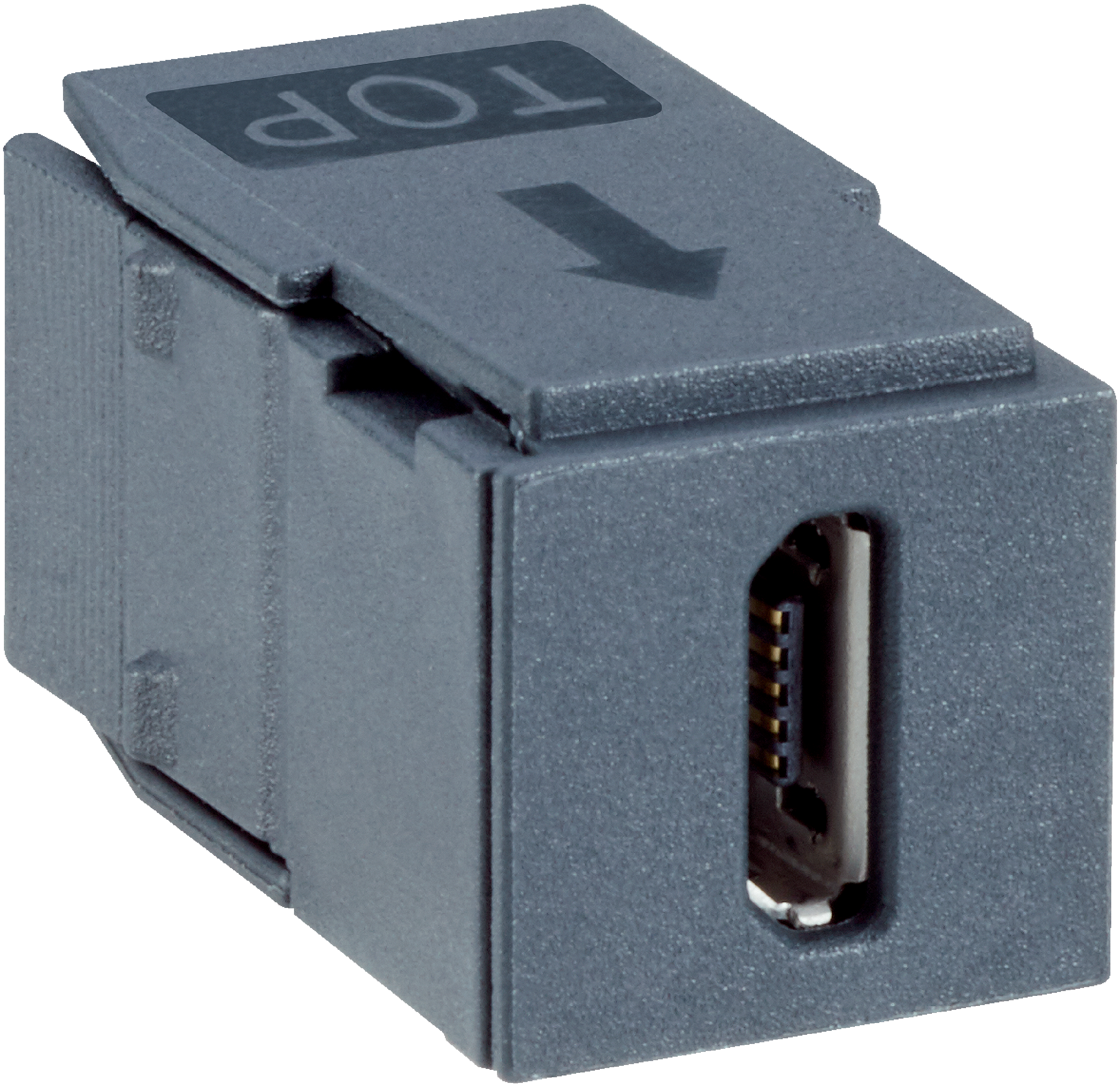 FLX3-SMPL100