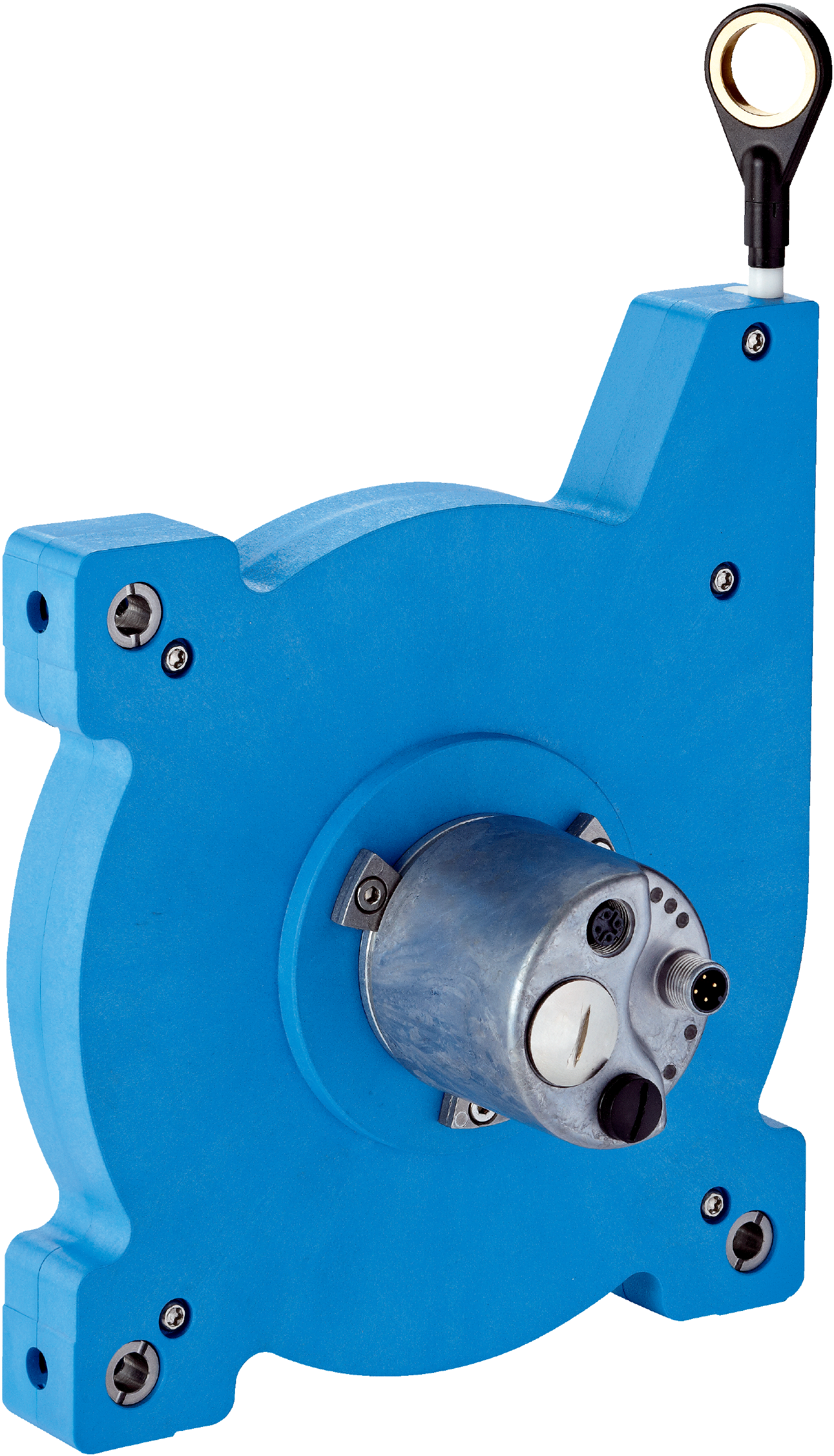 BCG19-I1BM1099