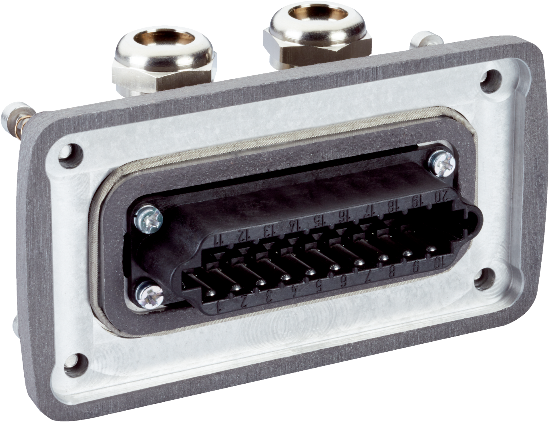 MALE-CONNECTOR-(READY-TO-ASSEMBLE)