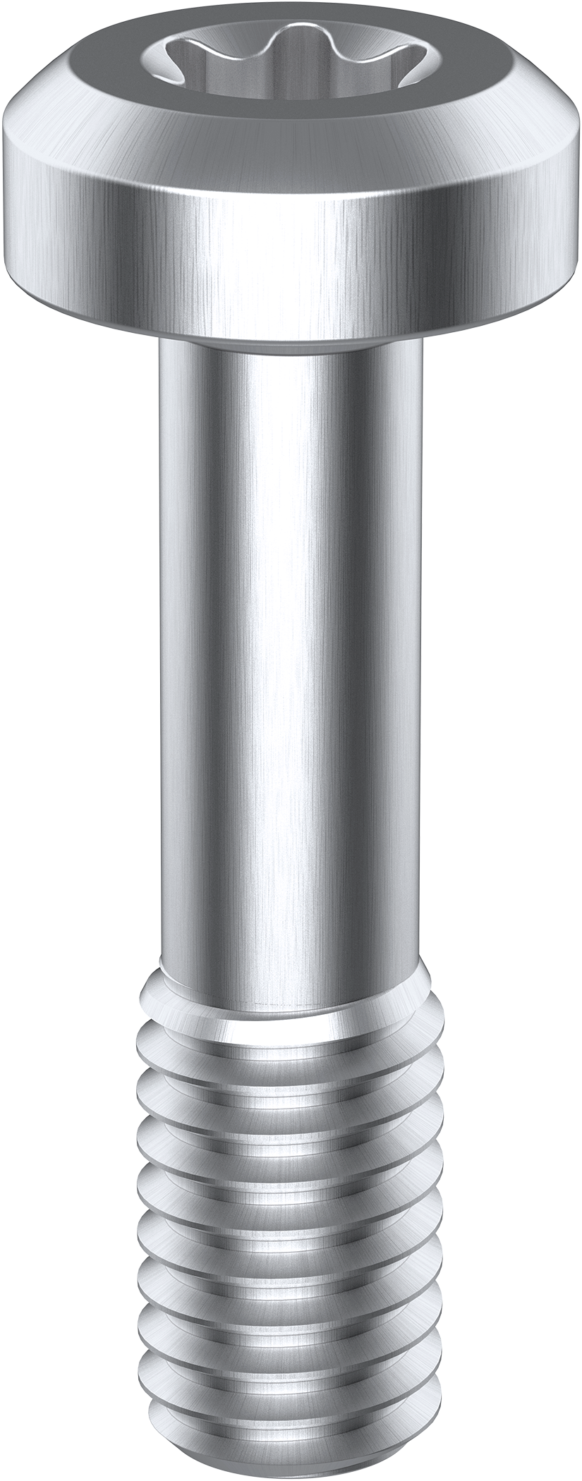 BEF-MK-S19
